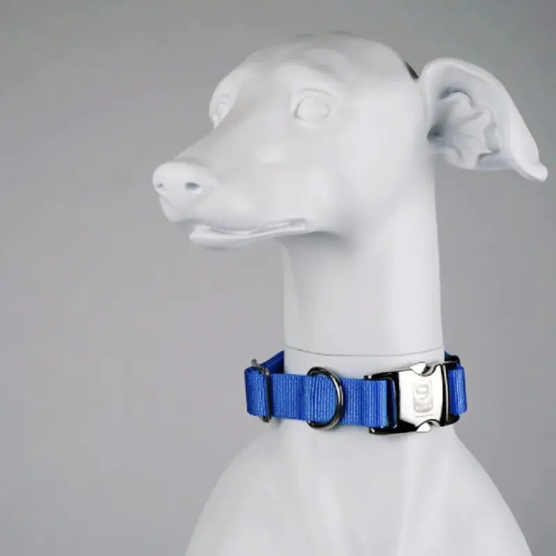 Blue-9 Secure Pro Dog Collar - Sky Blue