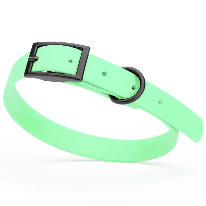 Dogline Biothane Waterproof Buckle Dog Collar - Sea Foam Green