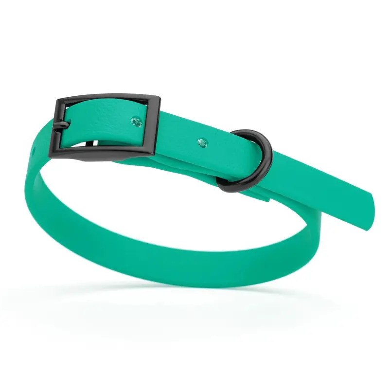 Dogline Biothane Waterproof Buckle Dog Collar - Teal