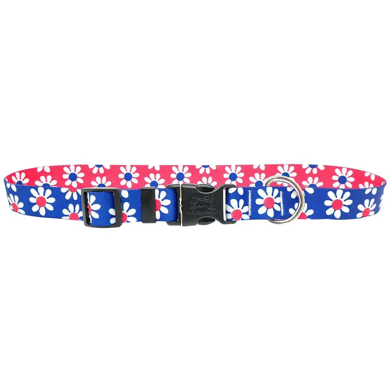 Mix and Match Daisy Dog Collar by Yellow Dog - Magenta and Royal Blue