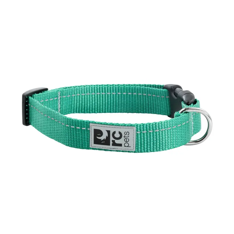 RC Pet Primary Clip Dog Collar - Parakeet