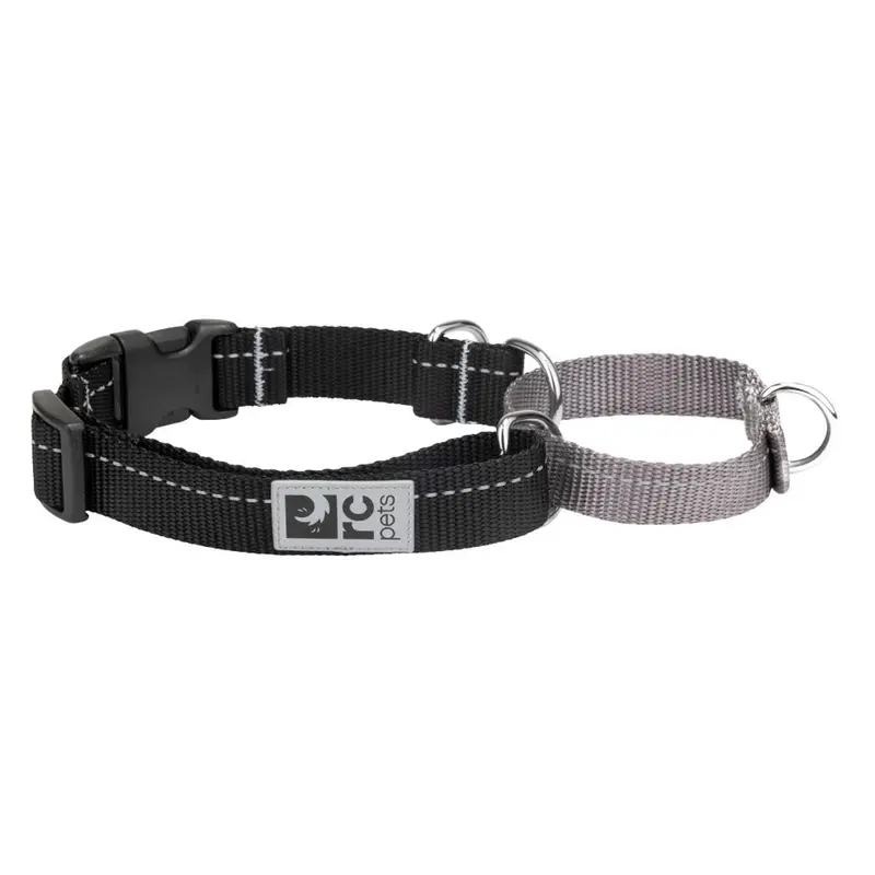 RC Pet Primary Web Training Clip Dog Collar - Black