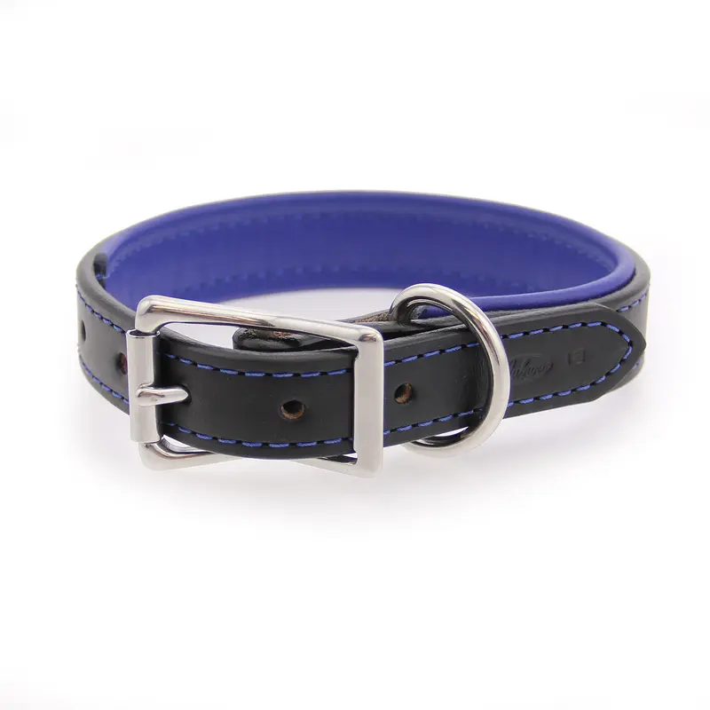 Auburn Leathercrafters Two-Tone Padded Leather Dog Collar - Black and Blue