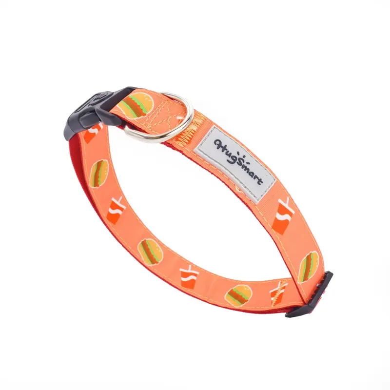 HugSmart Foodie Time Dog Collar