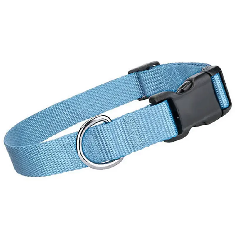 Parisian Pet Nylon Dog Collar - Light Blue