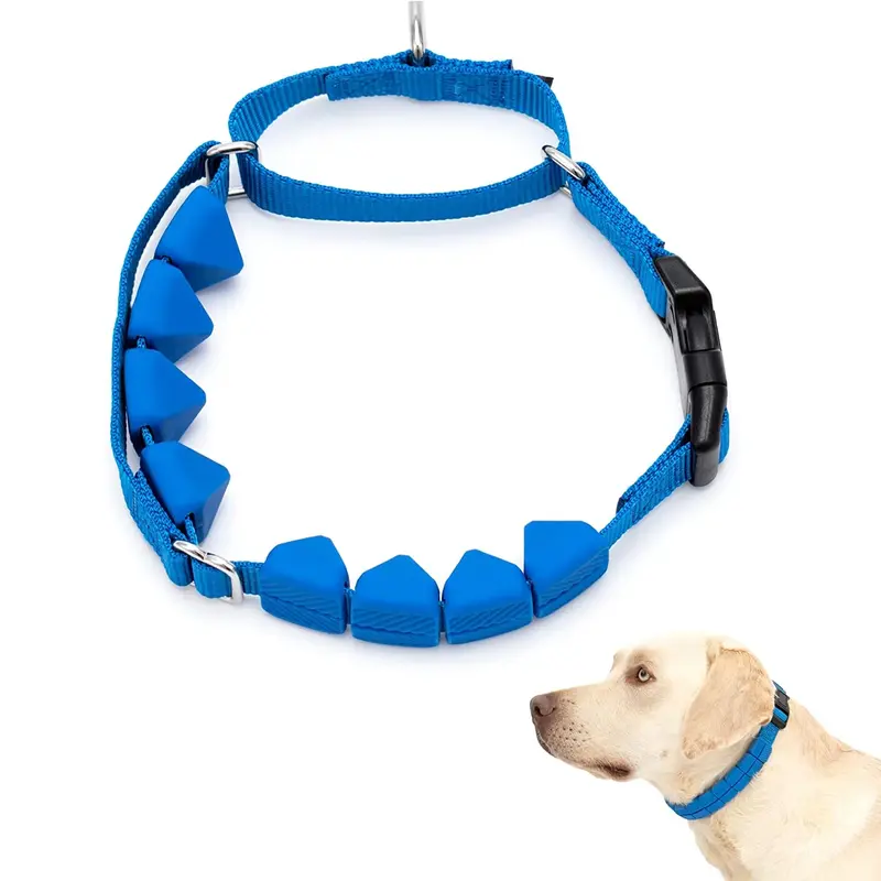 PetSafe Soft Point Training Dog Collar - Royal Blue