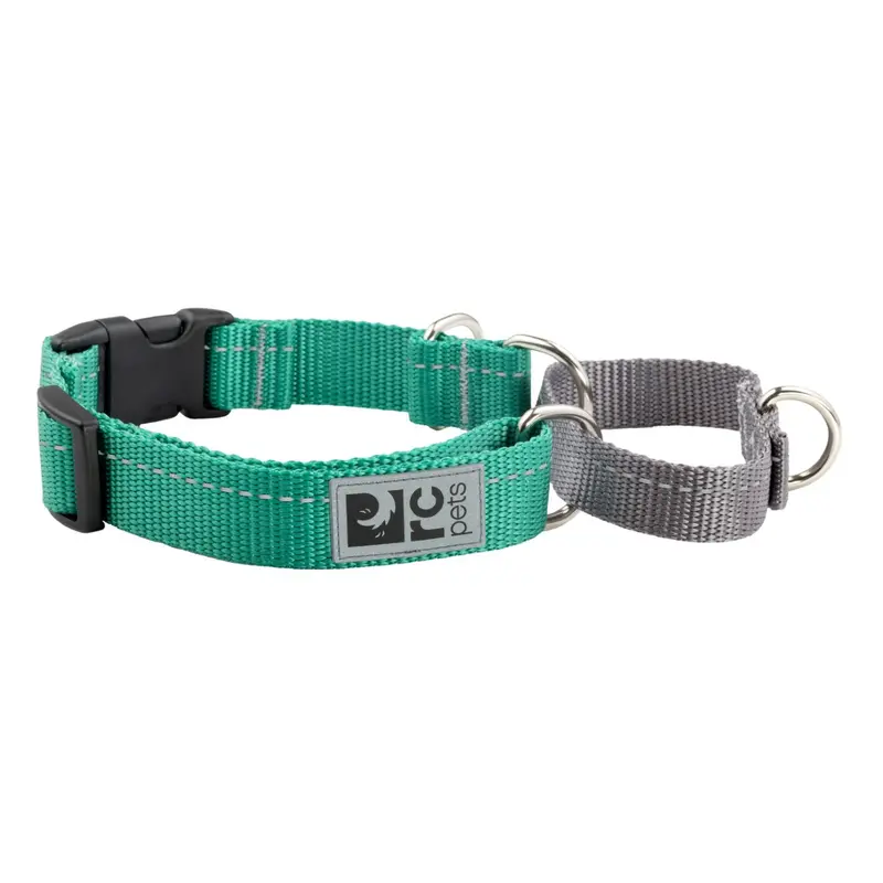 RC Pet Primary Web Training Clip Dog Collar - Parakeet