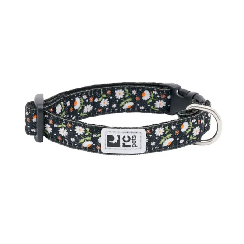 RC Pet Petite Adjustable Clip Dog Collar - Daisies