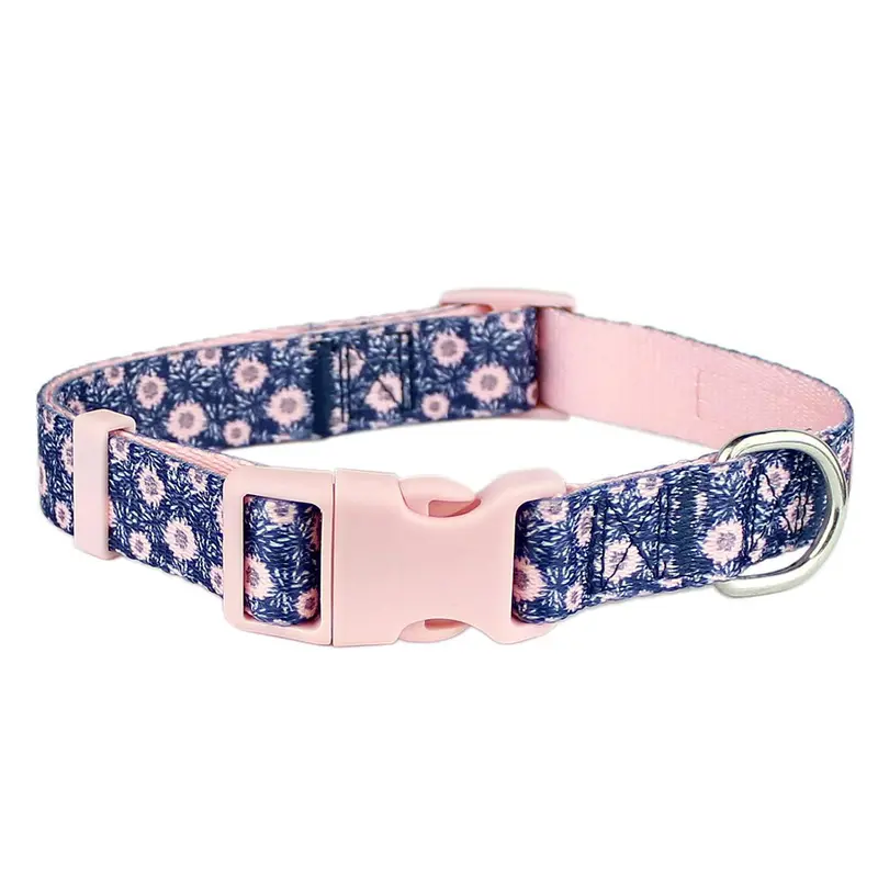 Parisian Pet Midnight Blossoms Dog Collar