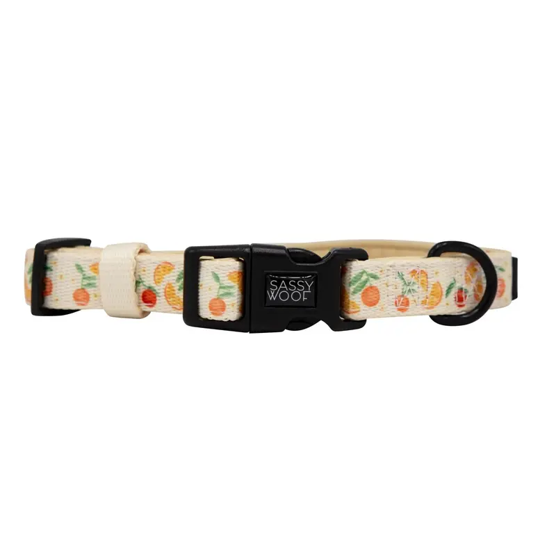 Sassy Woof Adjustable Dog Collar - Simply the Zest