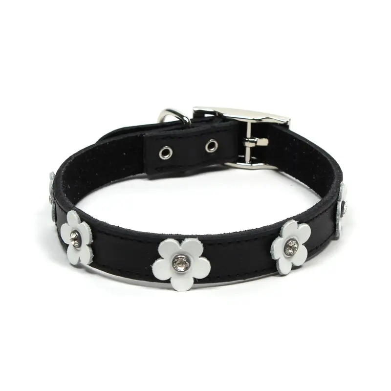 Dogue Collar Foxy Black