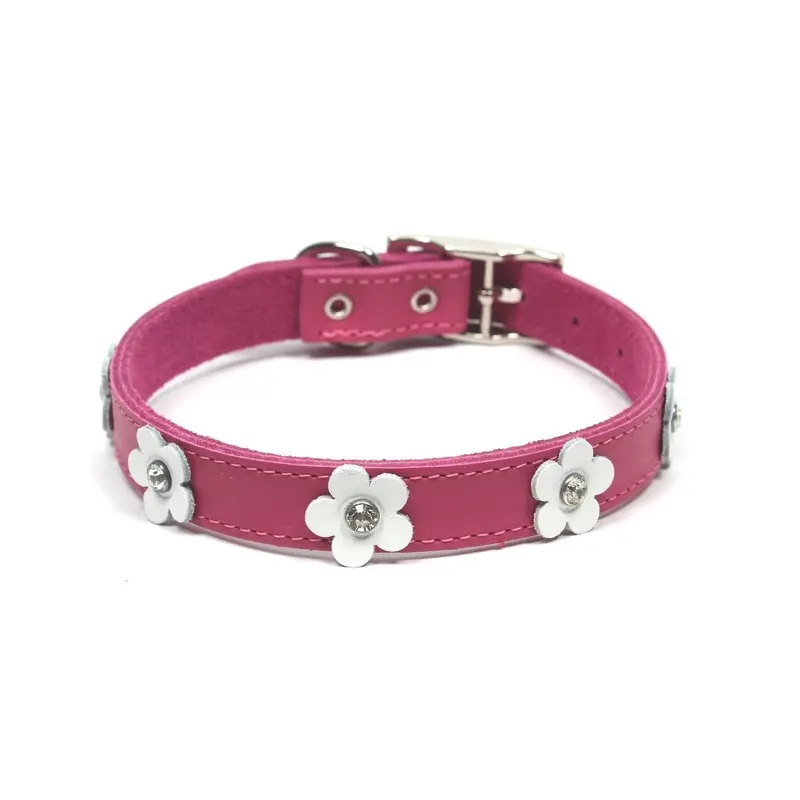 Dogue Collar Foxy Fuschia