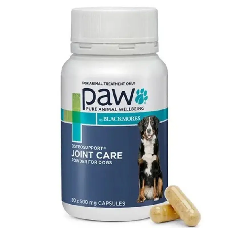Paw Osteosupport Dog