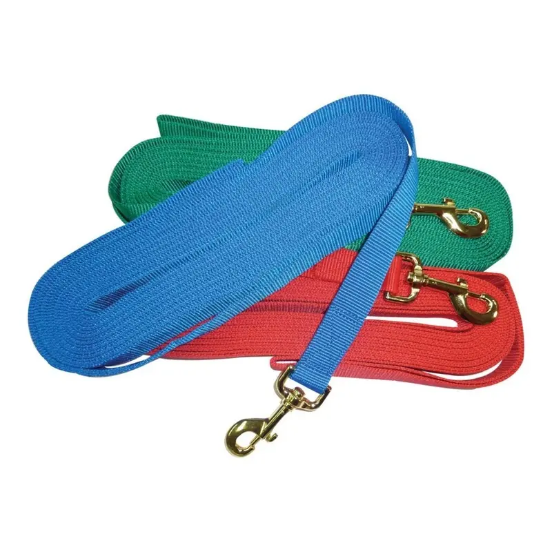 Lunge Lead Nylon 30 Feet