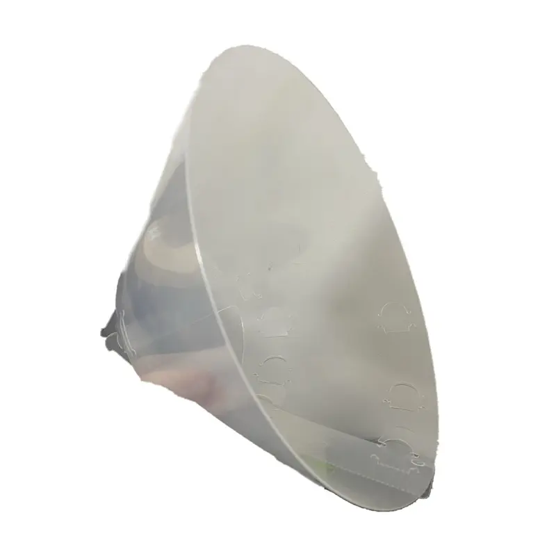 Elizabethan Collar