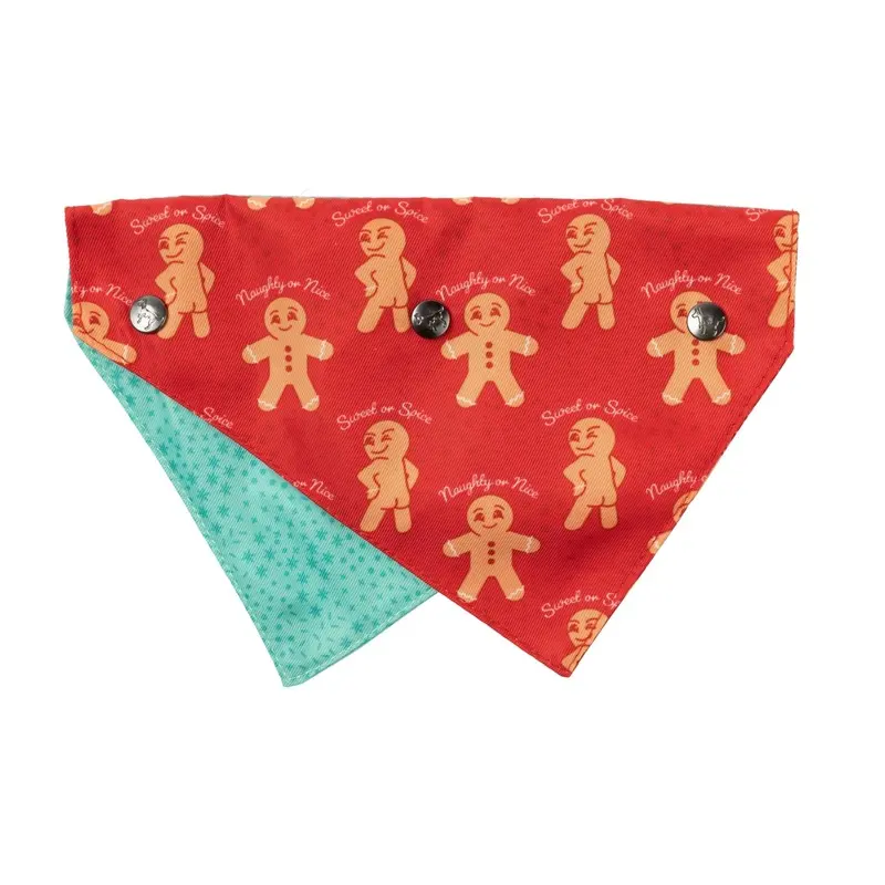 Fuzzyard Bandana - Naughty Ginger