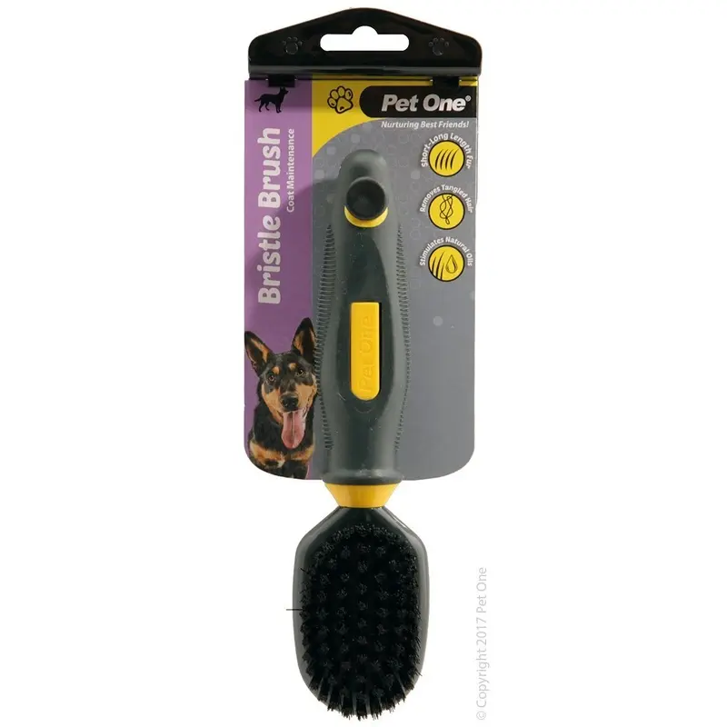 Pet One Bristle Brush