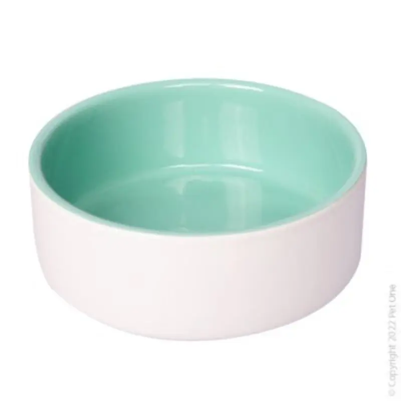 Pet One Ceramic Pet Bowl Green/White