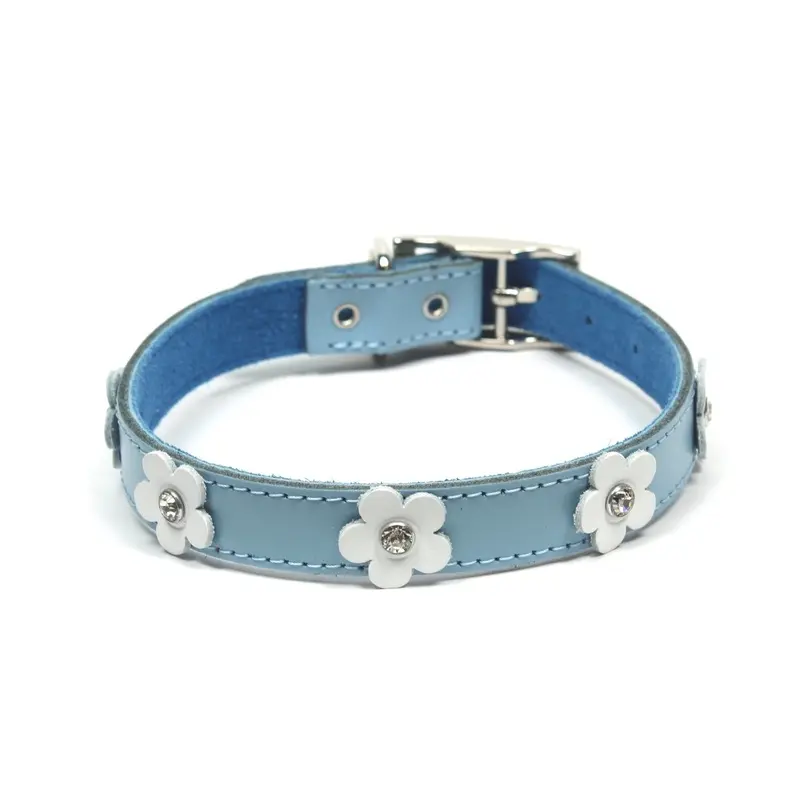 Dogue Collar Foxy Blue