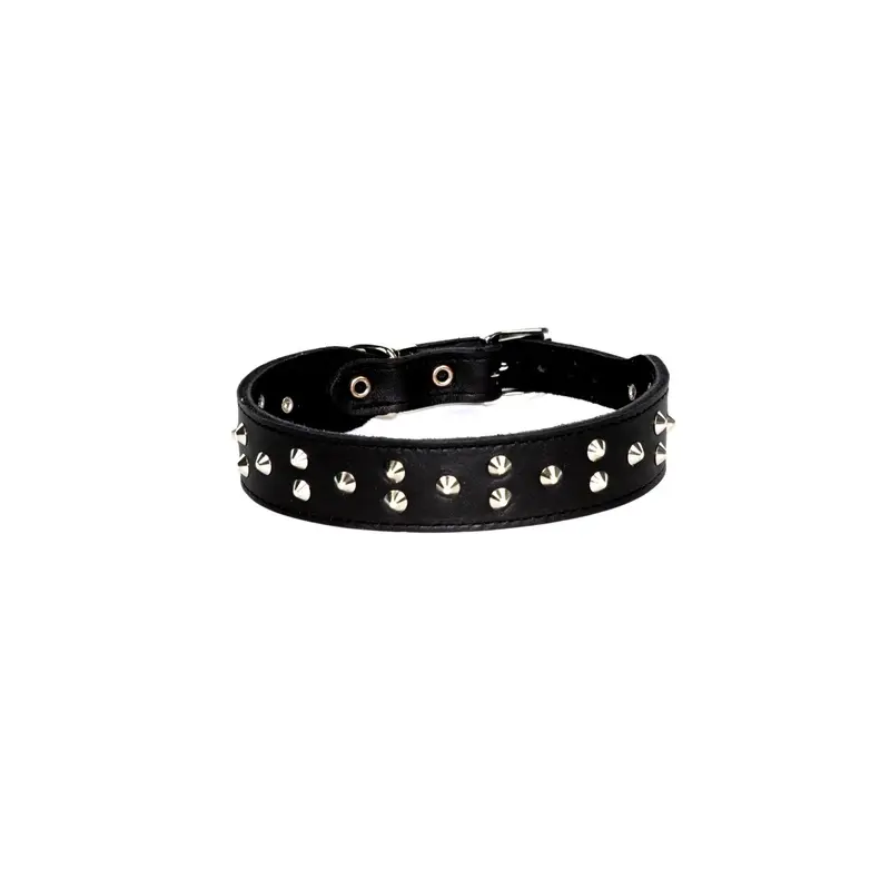 Dogue Collar Stud Muffin Black