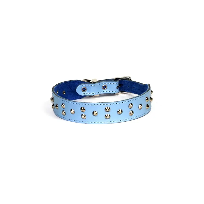 Dogue Collar Stud Muffin Blue