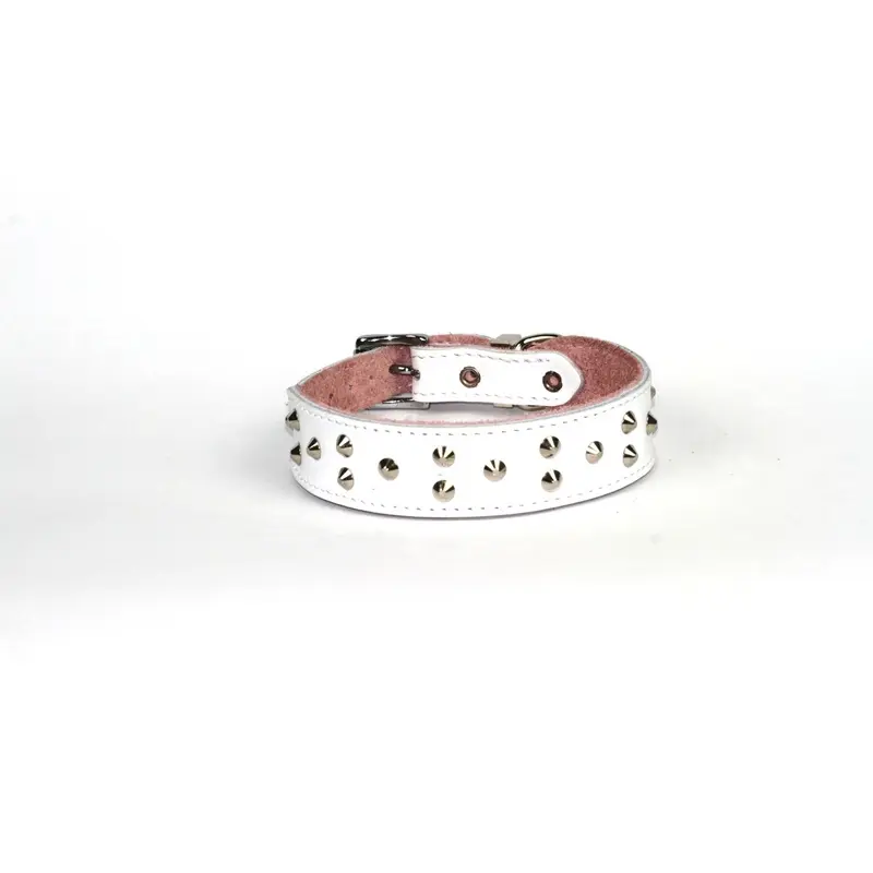 Dogue Collar Stud Muffin White