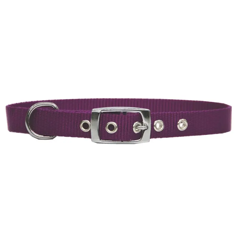 Beau Pets Collar Single Layer Purple