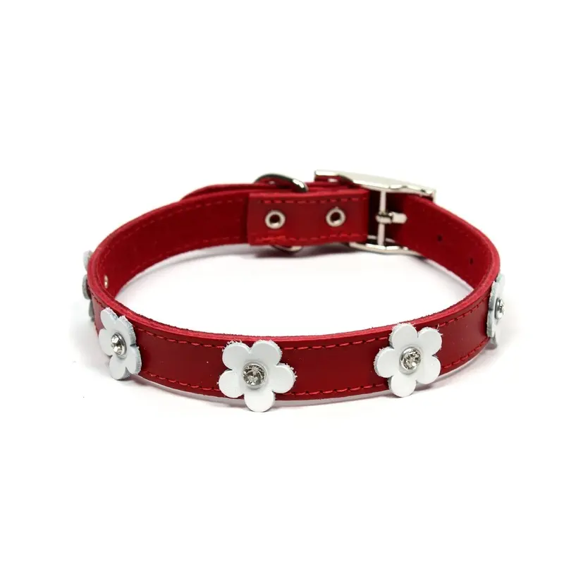 Dogue Collar Foxy Red