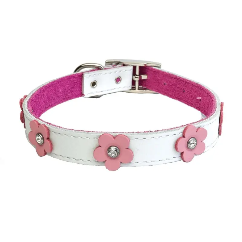 Dogue Collar Foxy White