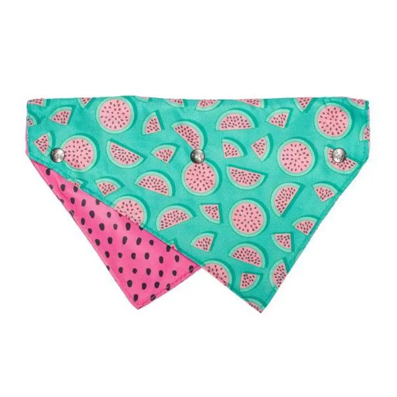 Fuzzyard Bandana - Summer Punch