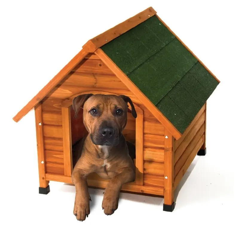 Dog Kennel Timber Pitched Roof Bono Fido