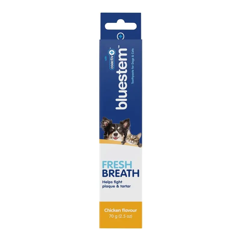 bluestem Toothpaste