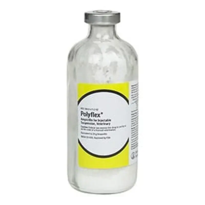 Polyflex (ampicillin) Injection for Dogs, Cats, & Cattle, 25 gm x 200 mL