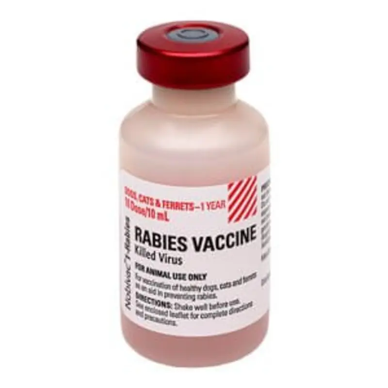 Rx Nobivac 1-Rabies Vaccine for Dogs & Cats, 10 mL Vial, No Tags