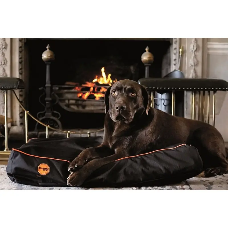 Rambo Ionic Dog Bed