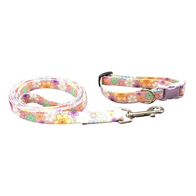Daisy Delight Dog Collar & Leads (5/8" Wide)