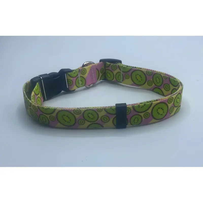 Bright Kiwis Dog Collar & Leads