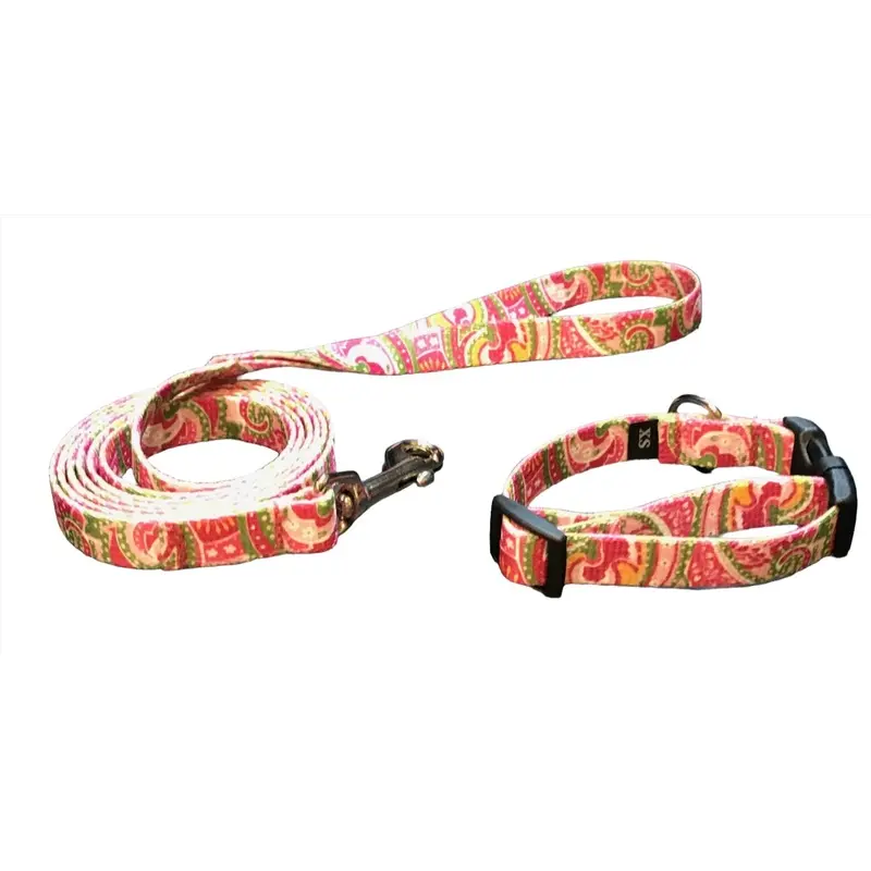 Passionate for Paisley Dog Collars or Leads (5/8" Wide)