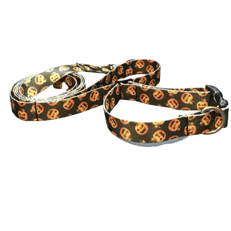 Fright Night Pumpkin Patch Dog Collar & Leads (5/8" Wide)
