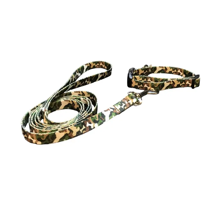 Hide My Bone Dog Collars & Leads (1" Wide)