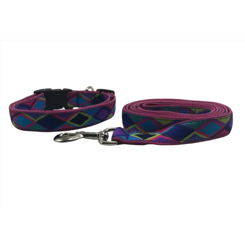 Purple Fresh Doggie Dog Collars or Leads (1" Wide)