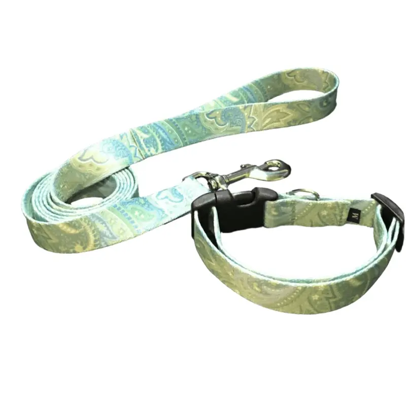 Summer Paisley Dog Collars or Leads  (1" Wide)