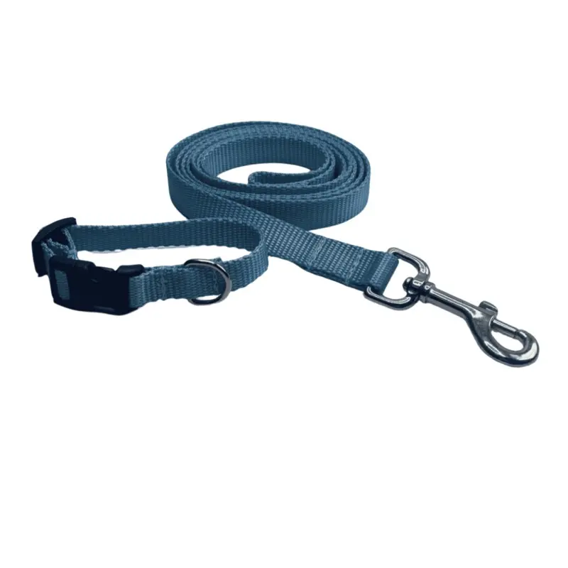 Basic Light Blue Collars and Leads (5/8" wide)