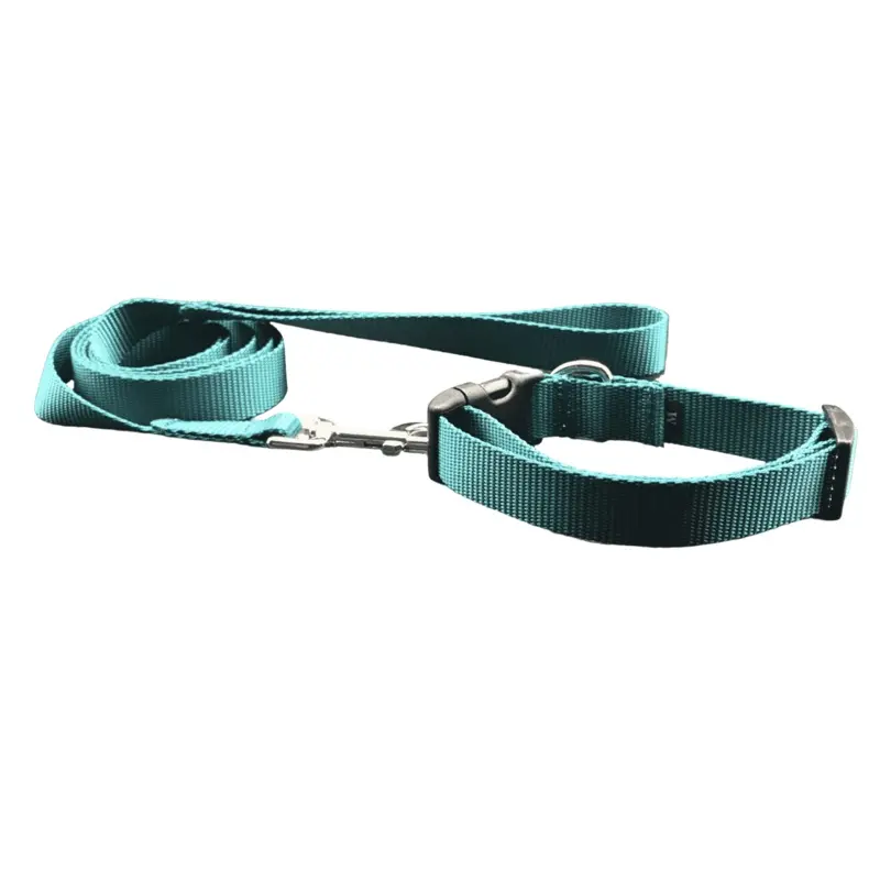 Basic Teal Dog Collars and Leads (1" Wide)