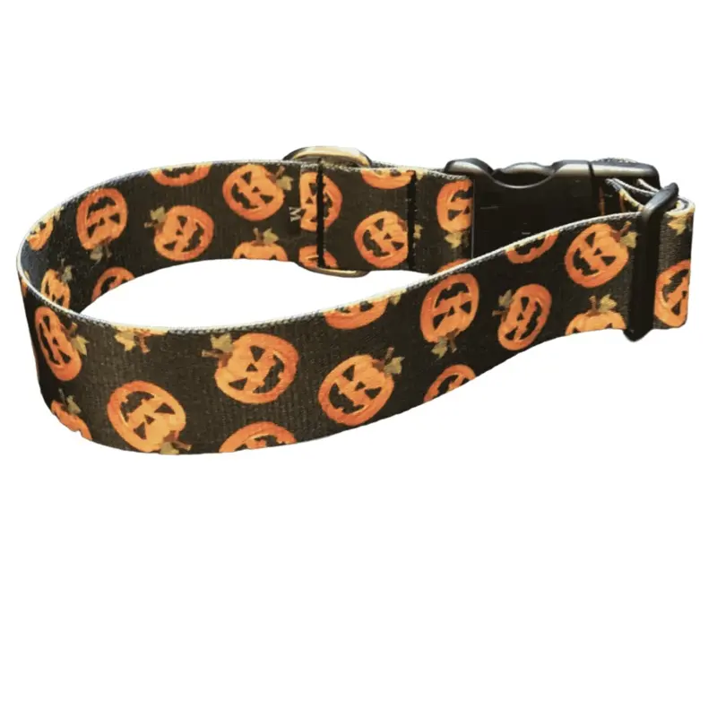 Fright Night Pumpkin Patch Dog Collar & Leads (1.5" Wide)