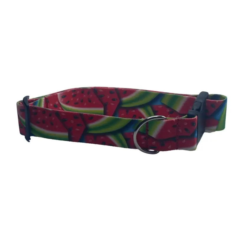 Jazzy Watermelon Dog Collar (1.5" Wide)