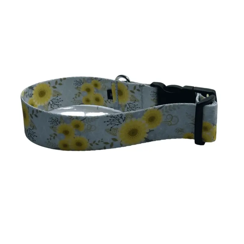 Sunny Days Dog Collar (1.5" Wide)