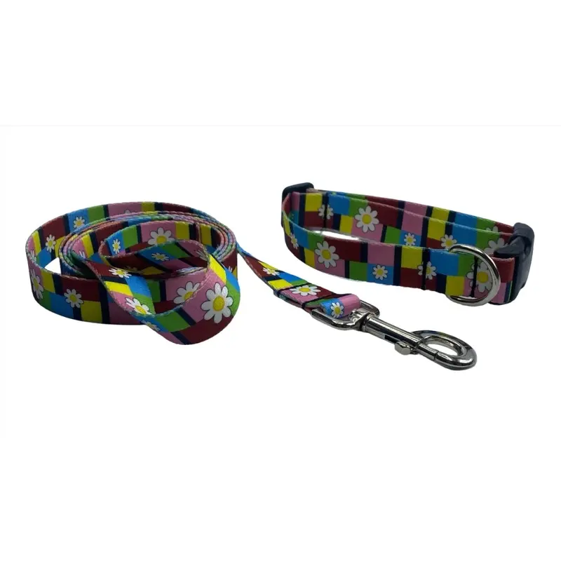 Blocks of Daizy Collars & Leads (1" Wide) (Discontinued)