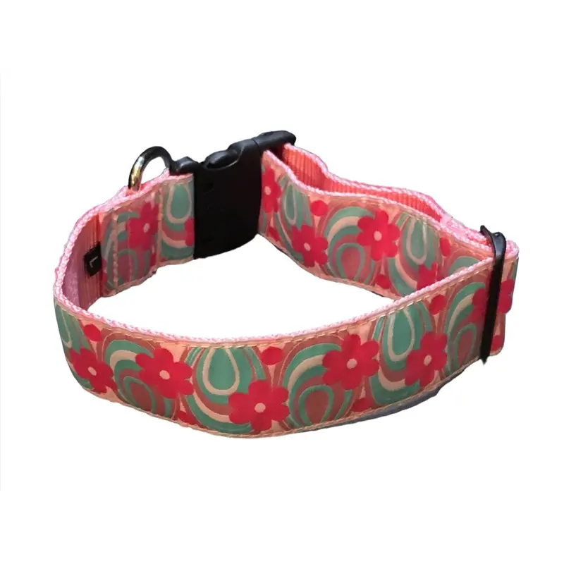I Dream of Daisies Dog Collar (1.5" Wide)