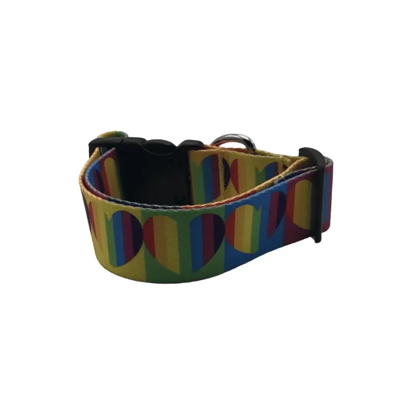 Pride Hearts Dog Collars & Leads (1.5" Wide)